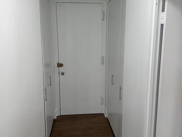 1540 N Lasalle St #403 — Photo 12