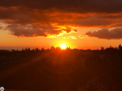 1198 Laurel Ln, Murphys, CA, 95247