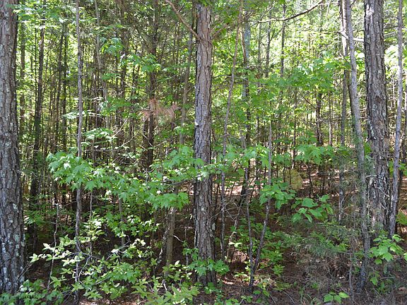 2nd image of 6512 Flagstone Dr #351