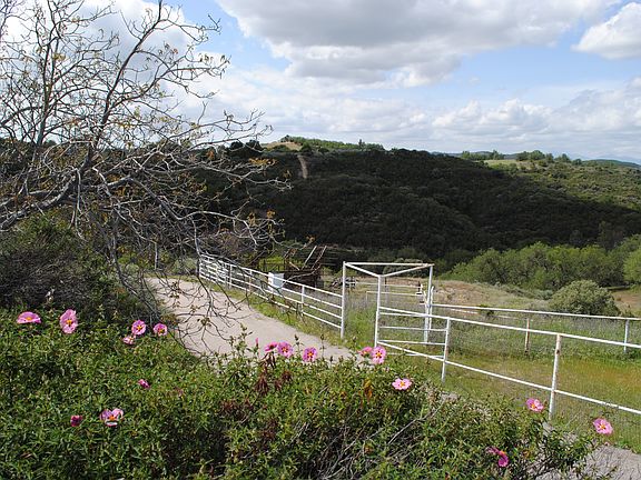 Fenced & Cross fenced