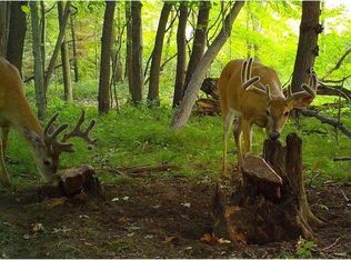 9532 Scully Rd, Whitmore Lake, MI 48189