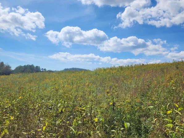 LOT 4 Green Hill Ln, Stuart, VA 24171