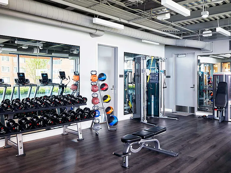 Our rooftop fitness center has everything needed to complement your strength or cardio workout routine.