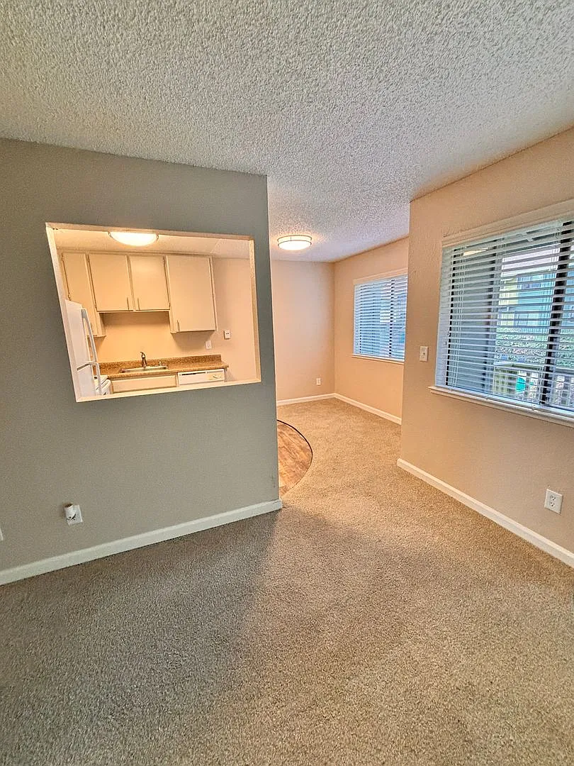 Olive Glen — Photo 3