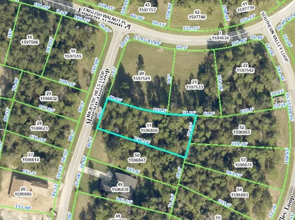 4461 Majestic Hills Loop #51, Brooksville, FL 34601