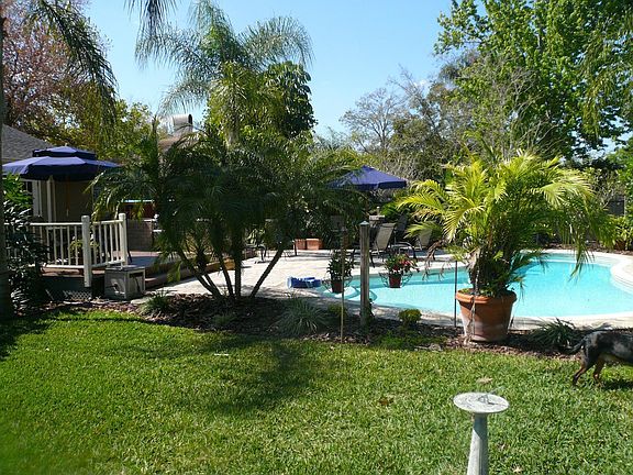 yard and pool 1