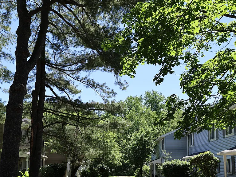 10 Village Brook Ln — Photo 92