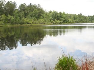 3309 New Holland Rd, Wagener, SC 29164