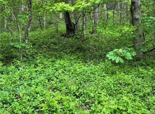 Tbd Silverleaf Rd, Zionville, NC 28698