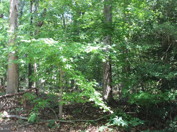 112 Custom Dr, Greenbackville, VA 23356