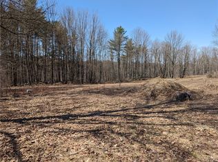 1 Domser Rd LOT 1, Boonville, NY 13309