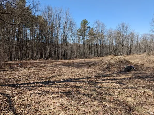 1 Domser Rd Lot 1, Boonville, NY 13309