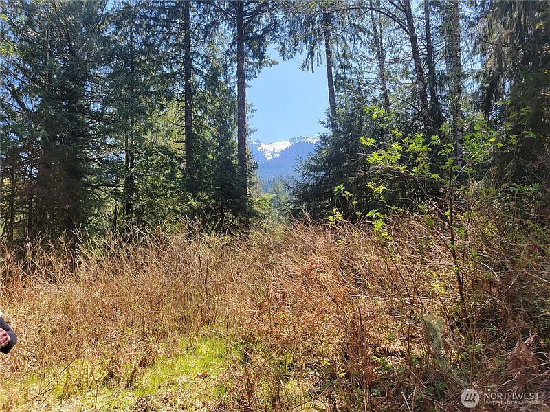 2nd image of 0 XXX Mtn Loop Highway