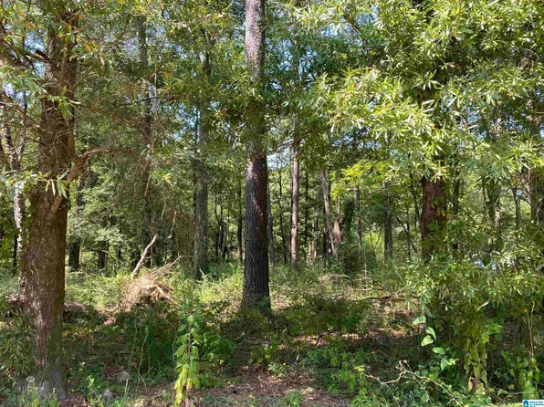 1916 Potter Rd #1916, Bessemer, AL 35020