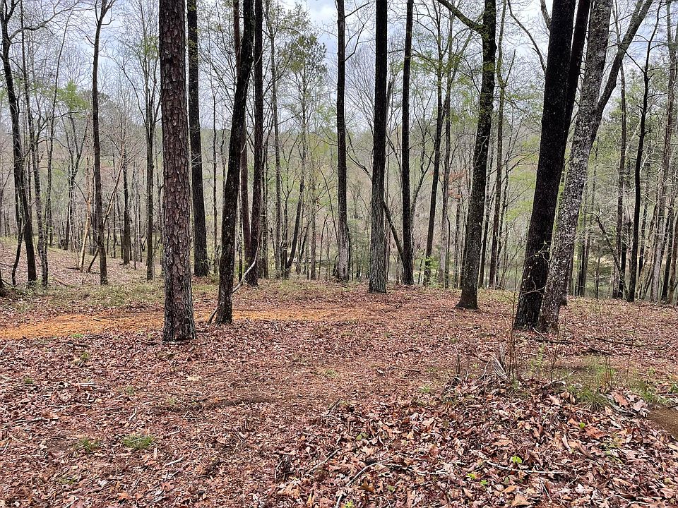 3 Shoreside At Sipsey, Double Springs, AL 35553 MLS 24671 Zillow