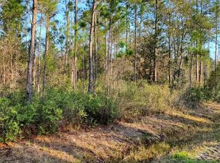 10300 Erickson Ave, Hastings, FL 32145