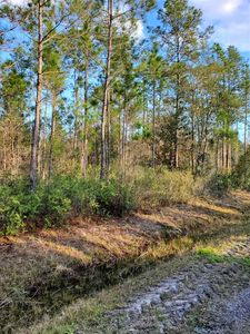 10300 Erickson Ave, Hastings, FL, 32145