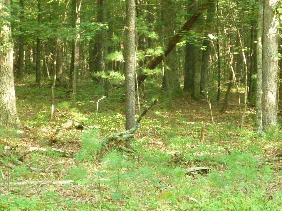 2nd image of Alum Springs Rd