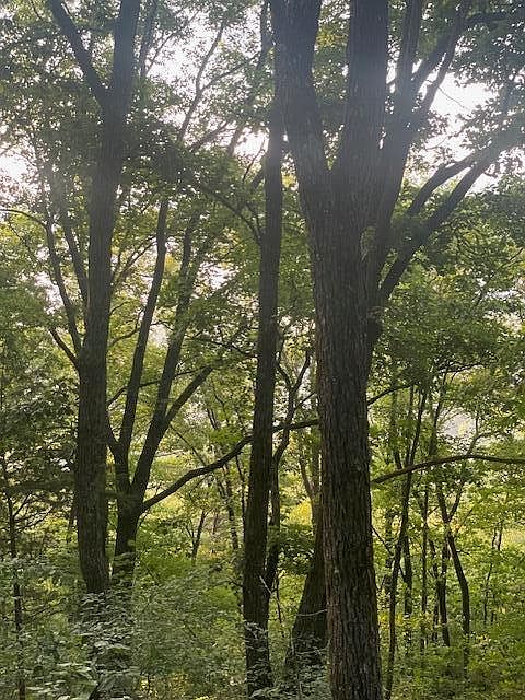 1st image of 71 Long Mountain Rd #71