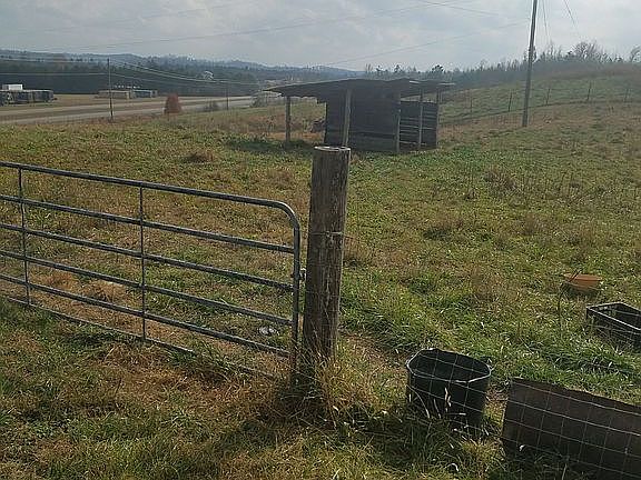 another view of pasture