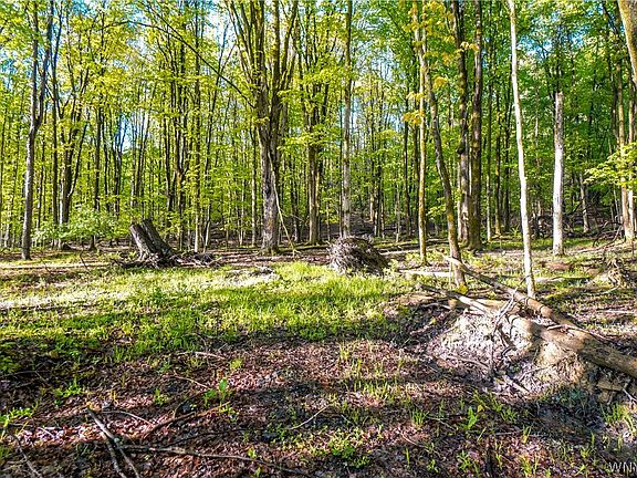 3rd image of 9598 Sisson Hwy #11