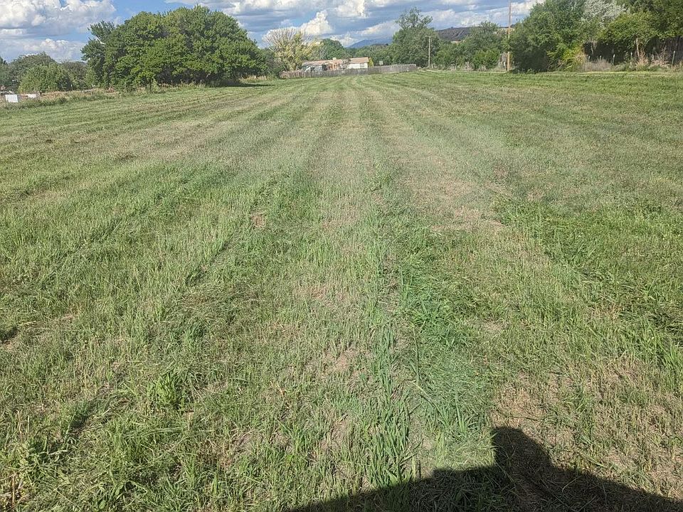 2nd image of 1239 Naranjo Ln