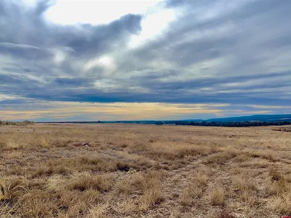 3 County Road 101, Hesperus, CO 81326