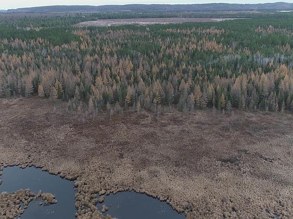 4th image of 40 Acres Off County Rd