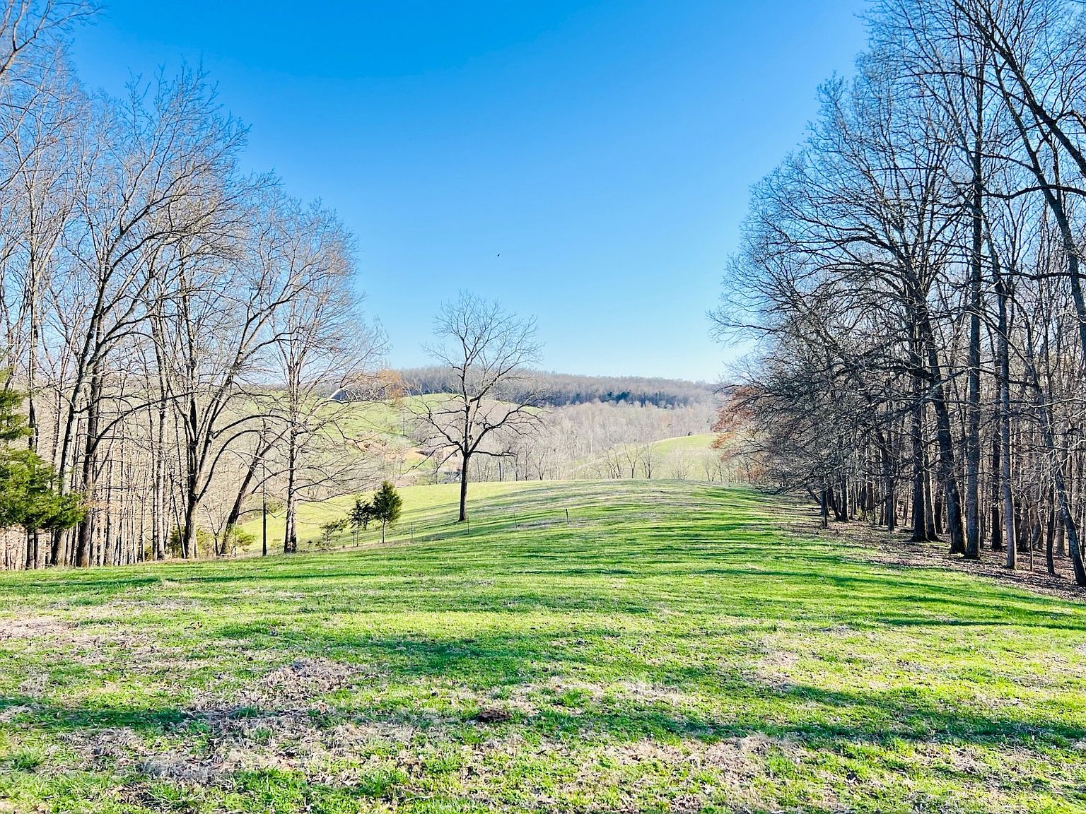 1962 Lil Taylor Rd TRACT 2, Gamaliel, KY 42140 MLS 11265622 Zillow