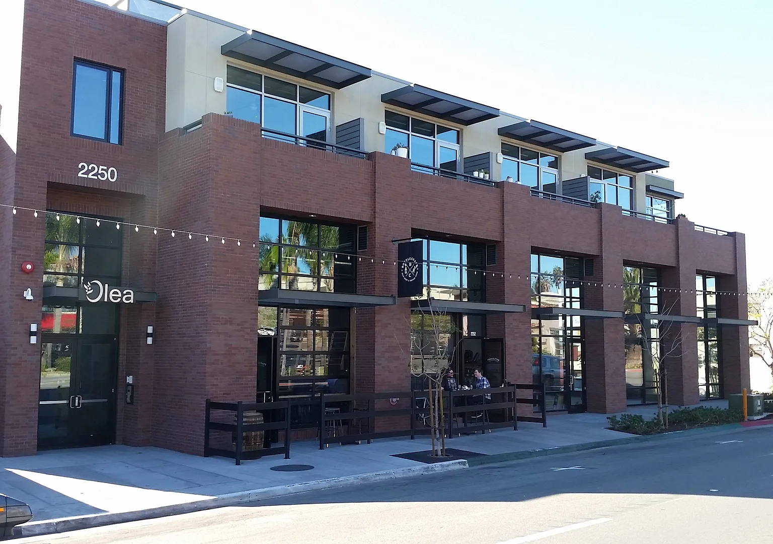 Olea — Photo 1