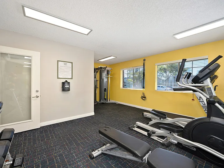 Forest Glen — Photo 14