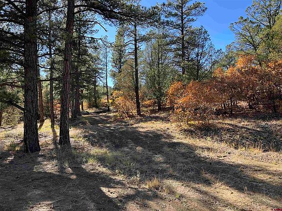 3rd image of Lot 1147 Rancho La Garita