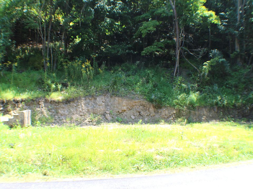 221 4th Ave Marlinton WV Zillow