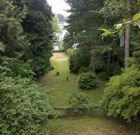 View from Deck