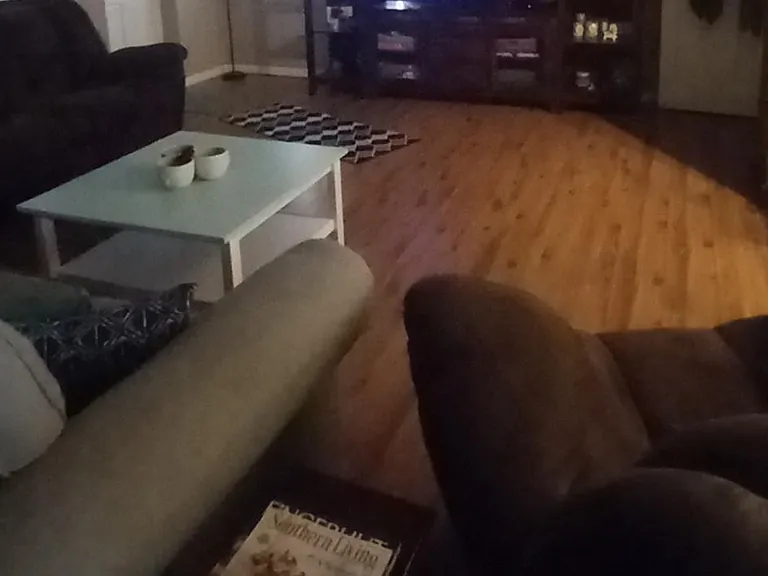 6834 Bedford Lake Rd — Photo 12