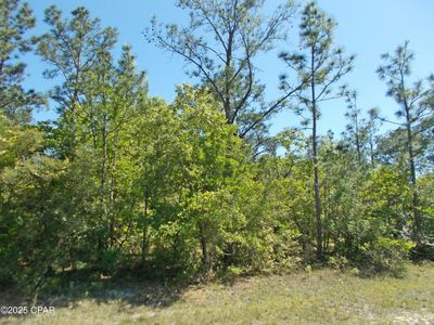 LOT 6 Arcade St, Chipley, FL, 32428