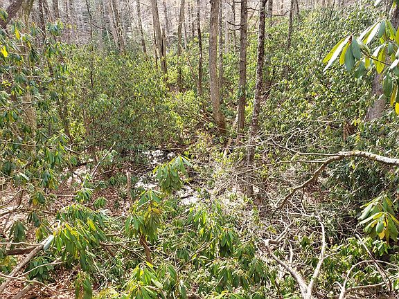 4th image of 37 Rainbow Trout Dr