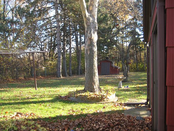 fenced backyard/gardens