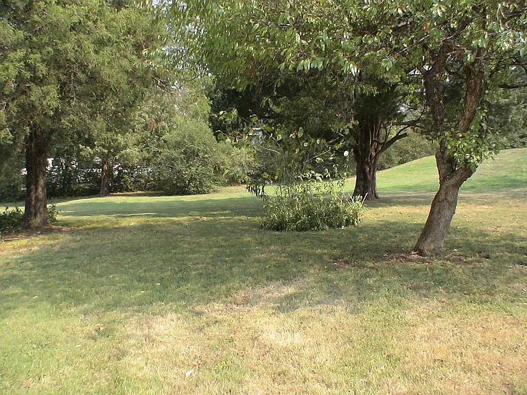 2704 Ball Camp Byington Rd — Photo 17