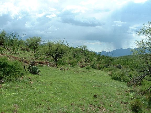 4th image of Camino Carina