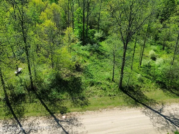 W Island Rd, Fowler, MI 48835