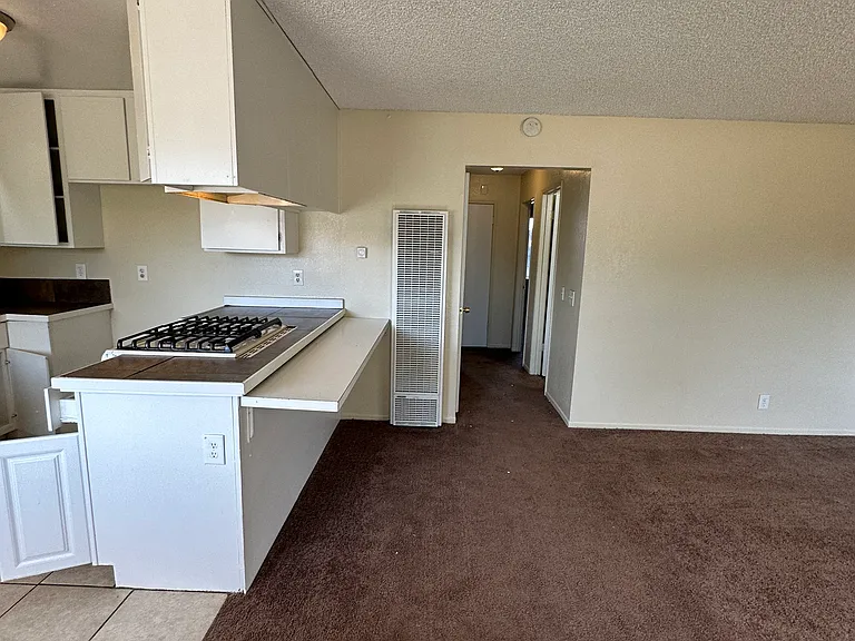 55315 Santa Fe Trl #1 — Photo 9