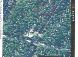 219 Ward Ave, Crescent City, FL 32112