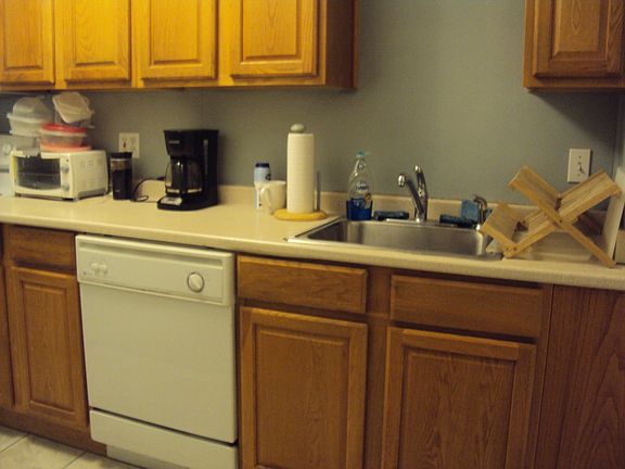 Kitchen has dishwasher