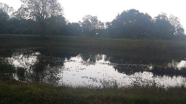 2nd image of 732 Lala Ln