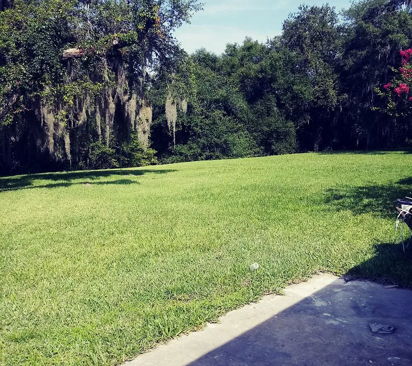 2216 2248 County Rd #446