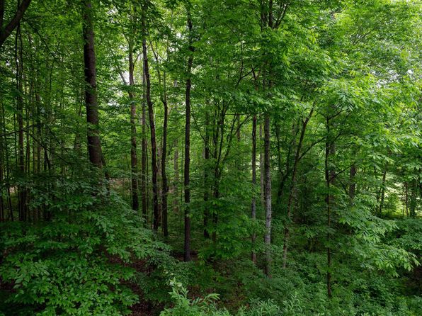 481 Stoney Crk E, Nellysford, VA 22958