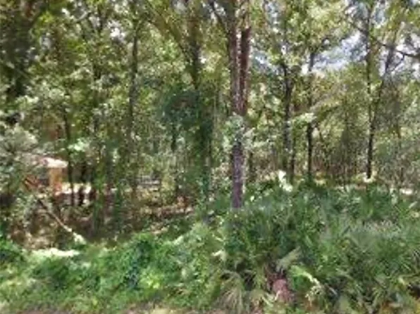 3494 E Jonah Pl, Inverness, FL 34453