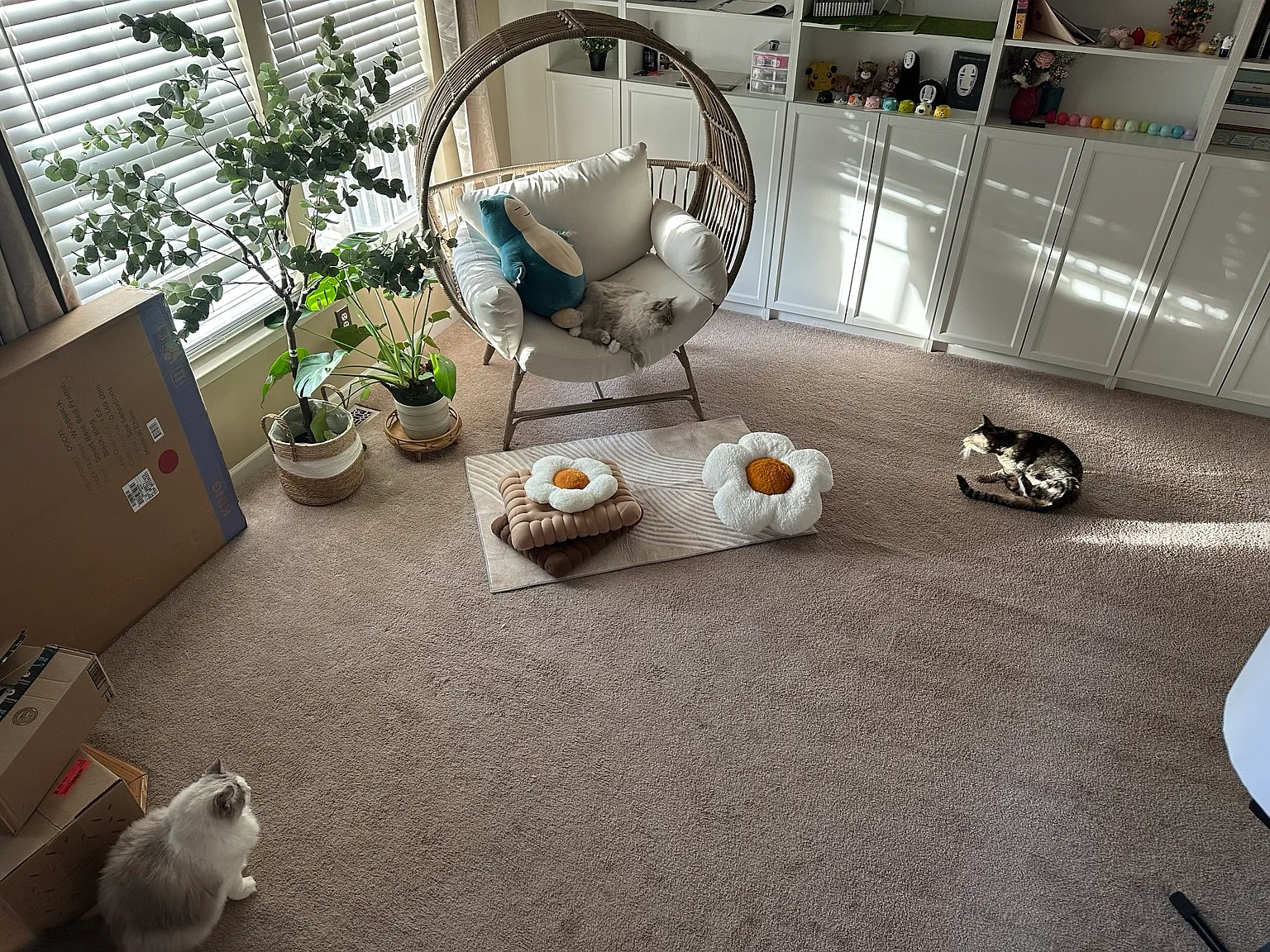5 bed, 3187 sqft, $1,000 — Photo 3