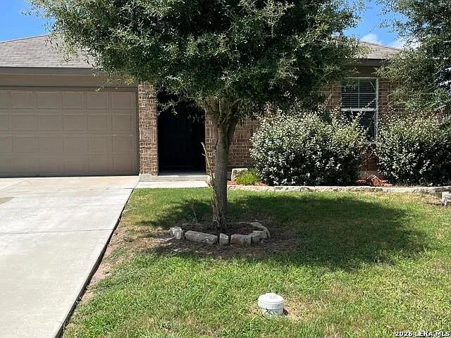 2118 Silver Maple